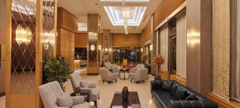 帕尔米亚加济安泰普酒店(Palmiye Hotel Gaziantep)图片