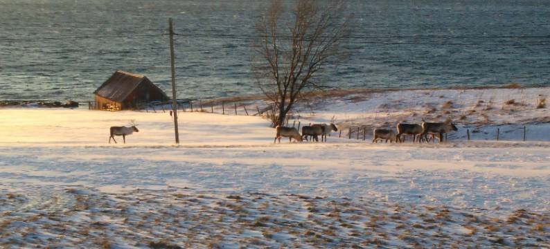 Charles Country House图片