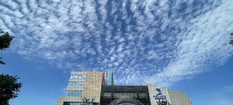 潍坊迪拜国际酒店图片