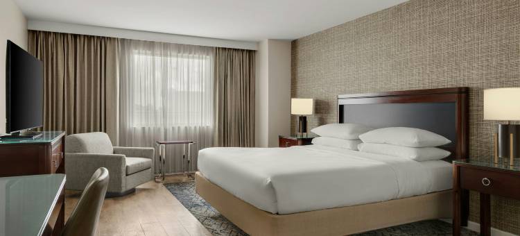 梅泰里新奥尔良喜来登酒店(Sheraton Metairie - New Orleans Hotel)图片