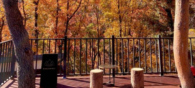 Sancheong Jiri Mountain Stay Forest Pension图片