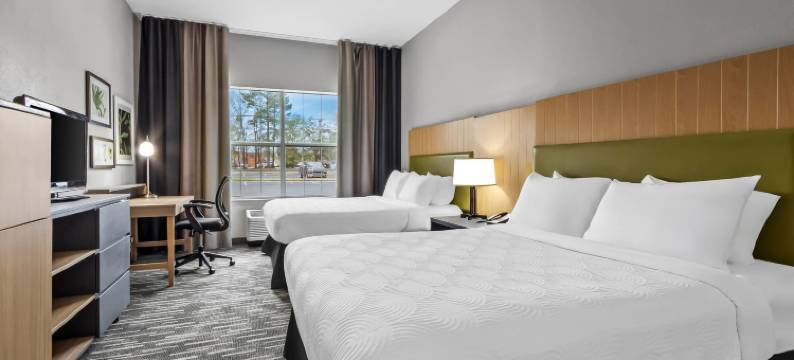 拉迪森乡村旅馆及套房，艾肯南(Country Inn & Suites by Radisson, Aiken South)图片