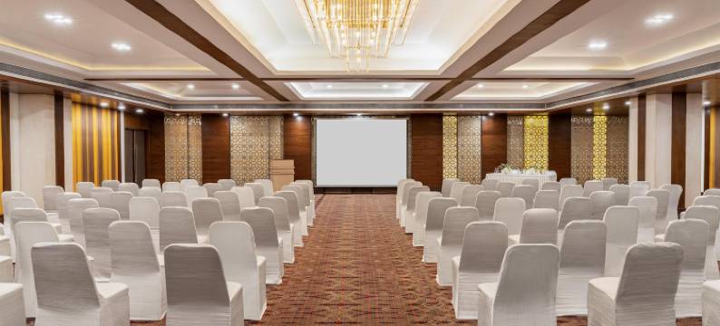 哥打丽怡酒店(Country Inn & Suites by Radisson Kota)图片