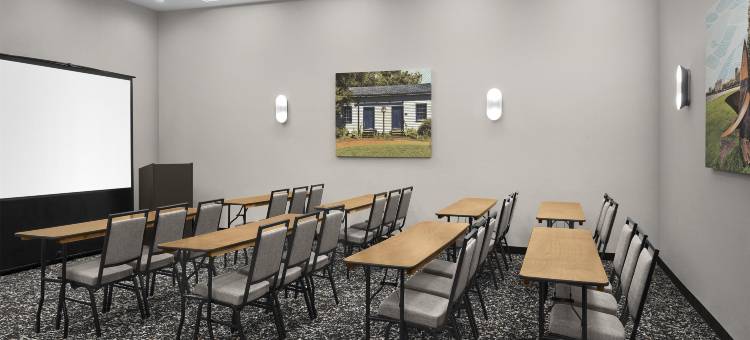 格林维尔/斯巴坦堡I-85希尔顿欢朋旅馆&套房酒店(Hampton Inn & Suites Greenville/Spartanburg I-85)图片
