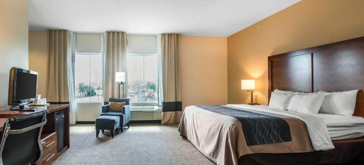 阿巴拉钦/宾汉顿西 17 号公路舒适酒店(Comfort Inn Apalachin / Binghamton W Route 17)图片