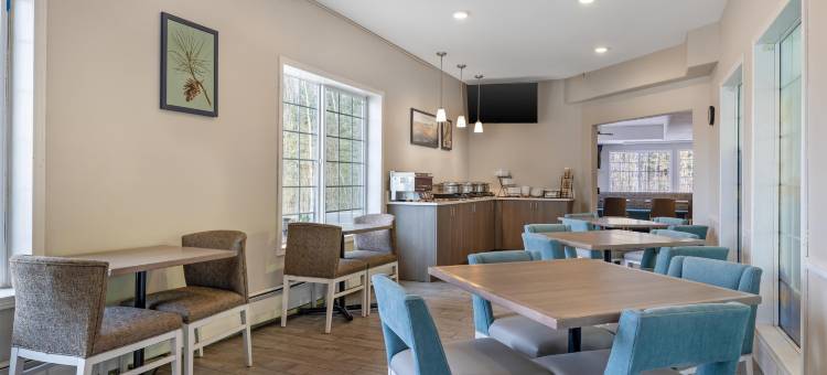 先驱者公园贝斯特韦斯特优质酒店(Best Western Plus Pioneer Park Inn)图片