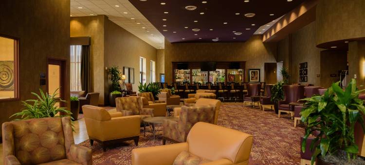 明尼阿波利斯北希尔顿安泊酒店(Embassy Suites by Hilton Minneapolis North)图片