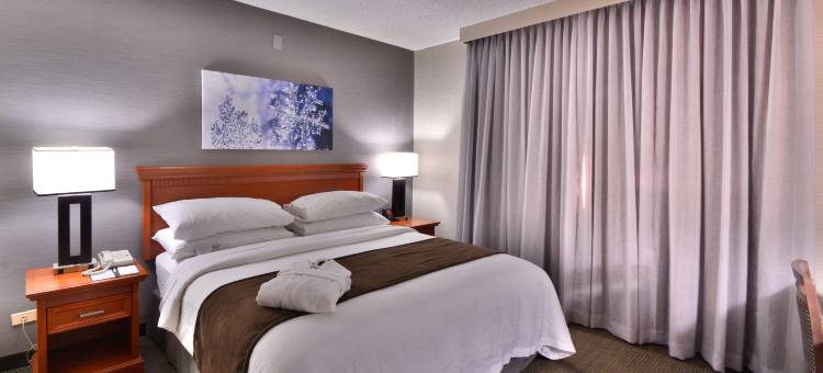 丹佛中央公园希尔顿安泊套房酒店(Embassy Suites by Hilton Denver Central Park)图片