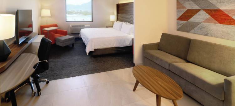 蒙特雷阿波达卡机场区假日套房酒店(Holiday Inn & Suites MONTERREY APODACA ZONA AIRPORT by IHG)图片