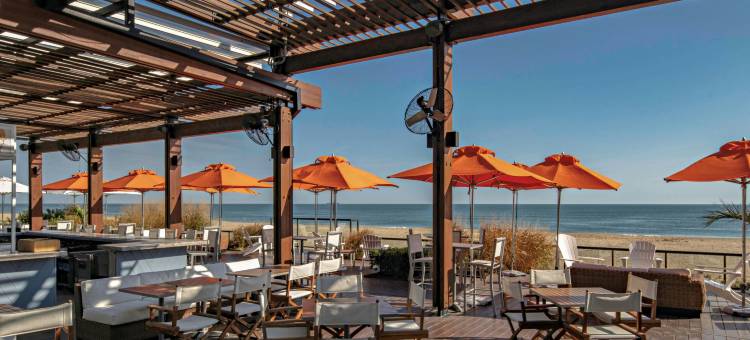 希尔顿维吉尼亚海滩海滨度假村大使套房(Embassy Suites by Hilton Virginia Beach Oceanfront Resort)图片