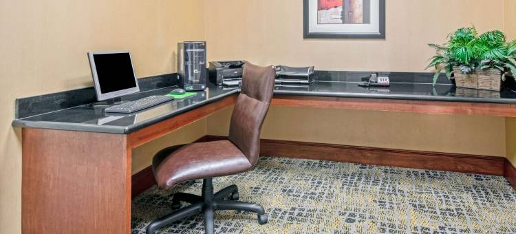 劳顿西尔堡拉昆塔温德姆套房酒店(La Quinta Inn & Suites by Wyndham Lawton / Fort Sill)图片