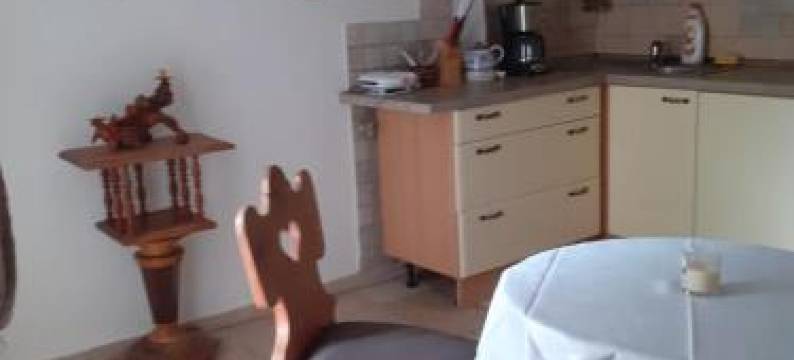 斯波约瓦奇公寓(Atelier Spojovaci)图片