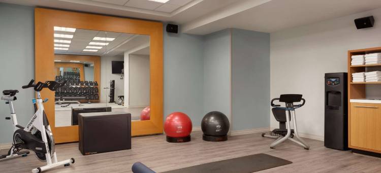 纽约市中心希尔顿逸林酒店(DoubleTree by Hilton New York Downtown)图片