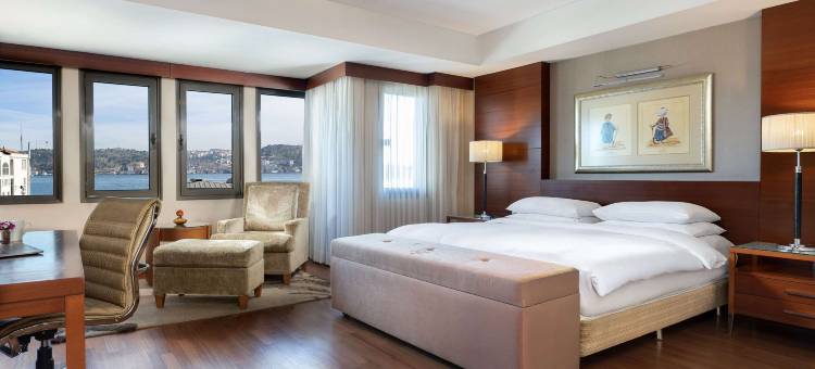 伊斯坦布尔丽笙蓝标博斯普鲁斯酒店(Radisson Blu Bosphorus Hotel, Istanbul)图片