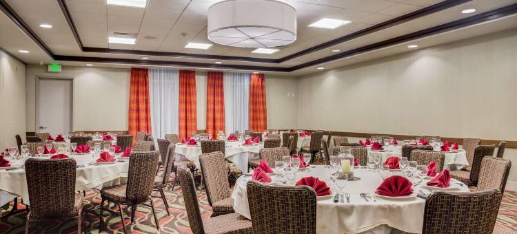 北休斯敦斯普林希尔顿花园酒店(Hilton Garden Inn North Houston/Spring)图片