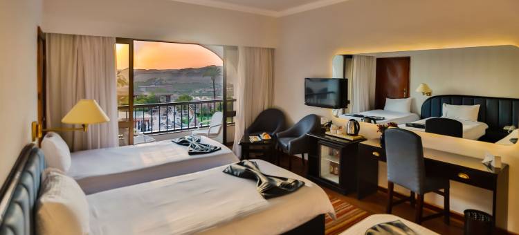 阿斯旺巴斯玛酒店(Basma Hotel Aswan)图片