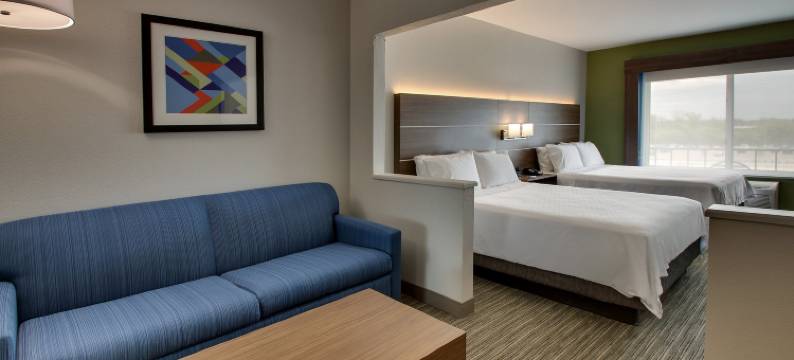 芝加哥北部-沃基根-格尼洲际智选假日套房酒店(Holiday Inn Express & Suites CHICAGO NORTH-WAUKEGAN-GURNEE by IHG)图片