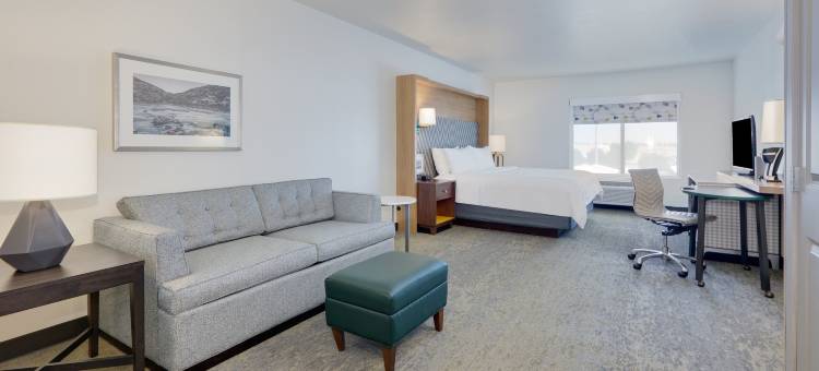 特温福尔斯假日酒店(Holiday Inn TWIN FALLS by IHG)图片