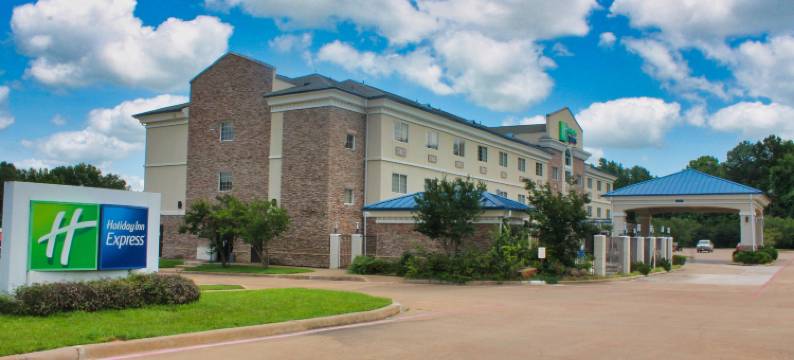 Holiday Inn Express 帕勒斯坦(Holiday Inn Express PALESTINE by IHG)图片