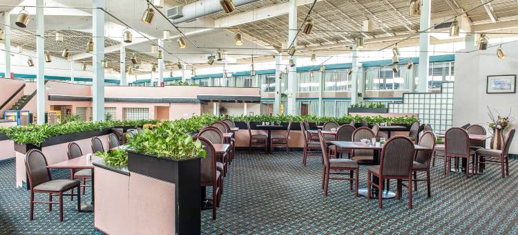 凯艺会议中心酒店(Quality Inn and Conference Center)图片