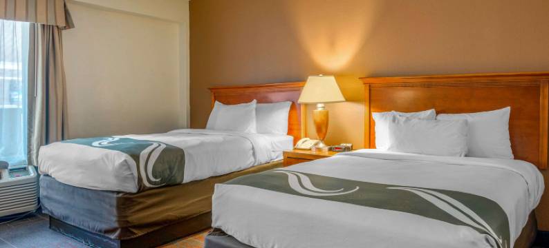 萨凡纳历史街区凯艺酒店(Quality Inn Savannah Historic District)图片