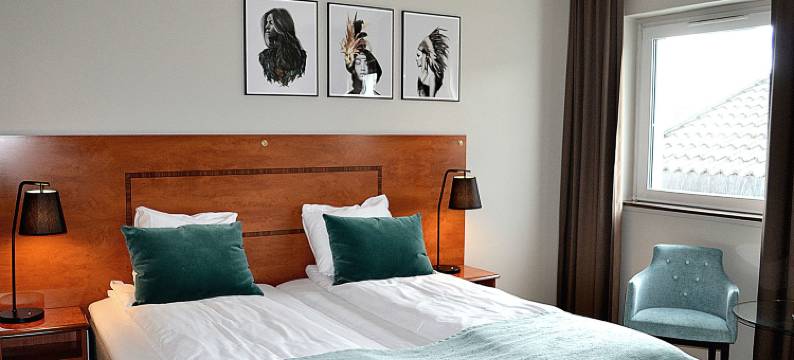 斯堪迪克中心艾尔沃姆酒店(Thon Partner Hotel Central)图片