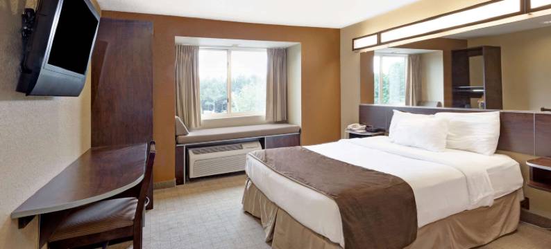 伍德斯托克/亚特兰大北麦客达温德姆酒店(Microtel Inn & Suites by Wyndham Woodstock/Atlanta North)图片