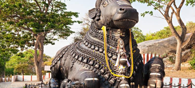 里泽酒店(Hotel Rize Inn)图片