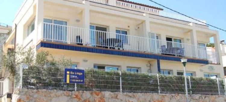 Vinya Farella 1图片