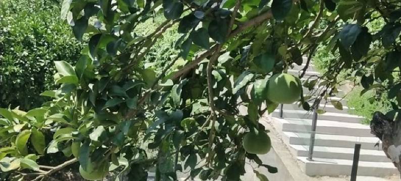 南山麓公寓(江滨中路分店)图片