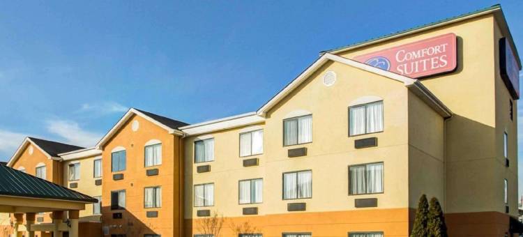 乔治敦舒适套房酒店(Comfort Suites Georgetown)图片