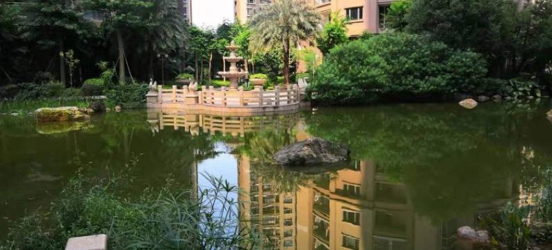 谢小姐的家公寓(金砂东路3号分店)图片