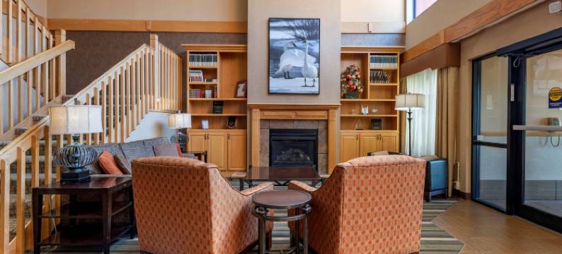 切尔西贝斯特韦斯特优质酒店(Best Western Plus Chelsea Hotel)图片