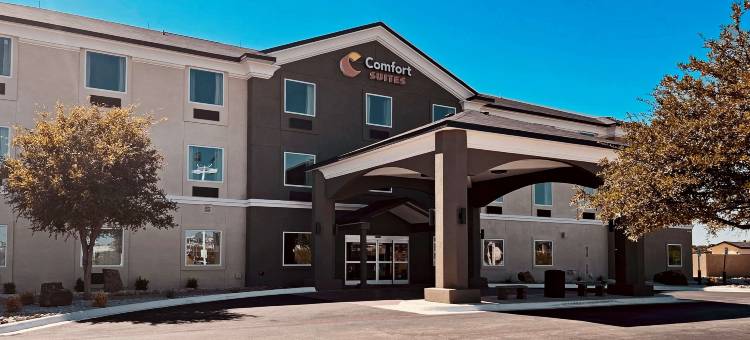 圣安吉洛舒适套房酒店-近大学(Comfort Suites San Angelo Near University)图片