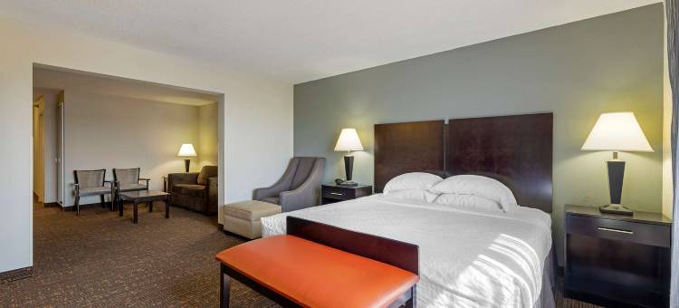 奥马哈机场贝斯特韦斯特优质酒店(Best Western Plus Omaha Airport Inn)图片
