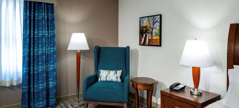 市中心希尔顿花园酒店(Hilton Garden Inn Omaha-Downtown/Old Market Area)图片