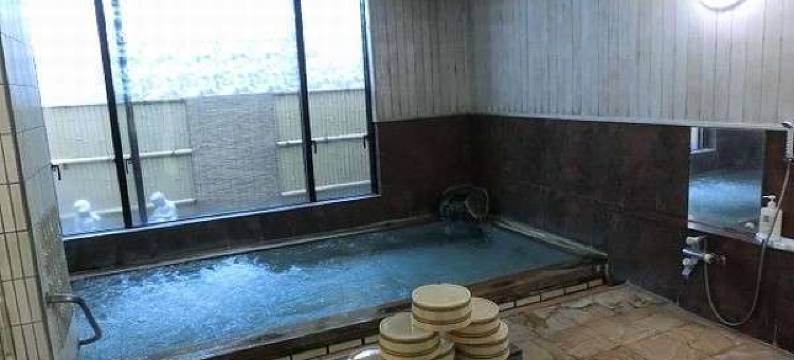 子宝之湯酒店(Kodakaranoyu Shiojiri Hotel)图片