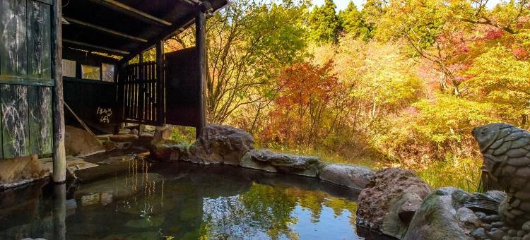 筋汤温泉 九重愈里 大高原酒店(Hotel Daikogen)图片