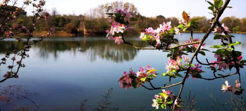 信阳朱家大院图片