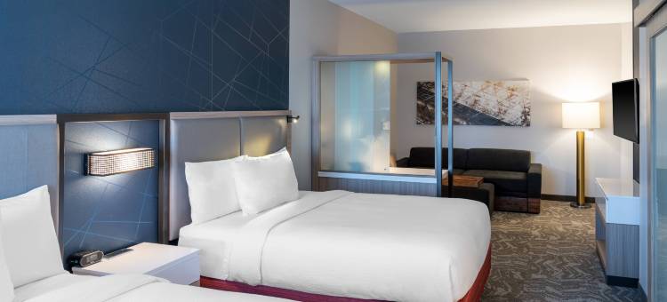 欧弗兰帕克利伍德SpringHill Suites酒店(SpringHill Suites Overland Park Leawood)图片