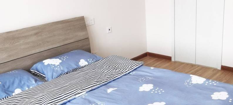 山水知音世博城海军公园海景两居公寓(海军路分店)图片