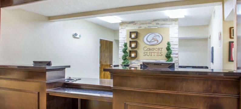 舒适套房酒店(Comfort Suites)图片