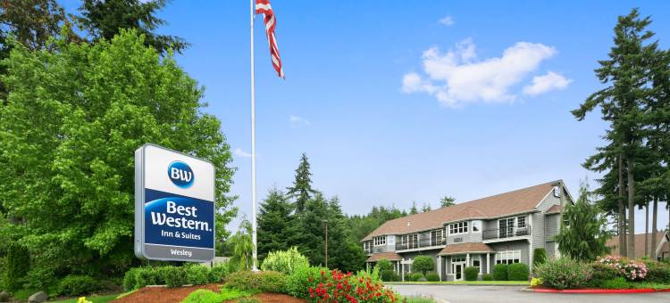 韦斯利贝斯特韦斯特优质套房酒店(Best Western Wesley Inn  Suites)图片