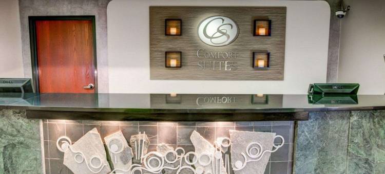 匹兹堡机场舒适套房酒店(Comfort Suites Pittsburgh Airport)图片