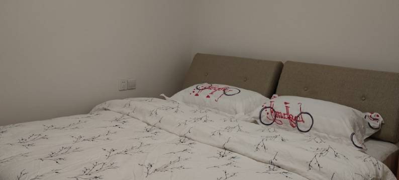 鲜花温馨小家长短租公寓(环湖南路分店)图片