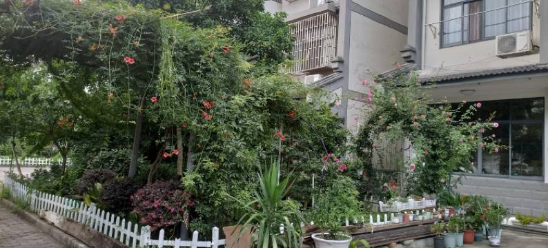 乌镇临街小苑客栈(茶叶弄分店)图片