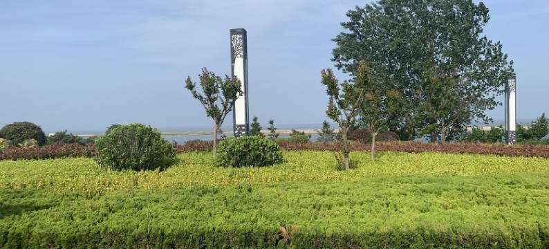 荣成海景房晓丹民宿(海湾南路分店)图片