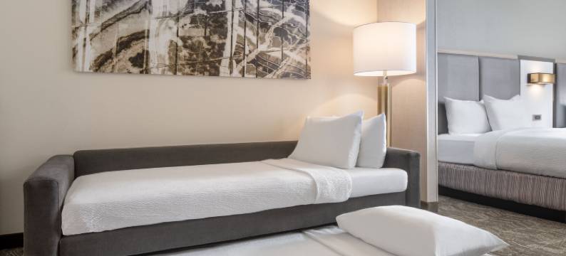 SpringHill韦斯特米夫林酒店(SpringHill Suites West Mifflin)图片