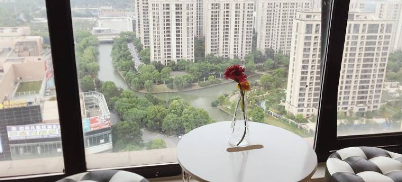 婧玲公寓(度假区高架路1号分店)图片