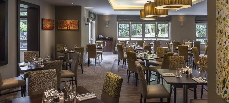 普莱斯威姆斯洛松林贝斯特韦斯特优质酒店(Plus Pinewood on Wilmslow Hotel Cheshire)图片